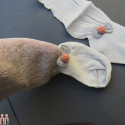 جوراب دخترانه مجلسی ساق بلند پاپیون کوچولو وارداتی کیفیت عالی نخ پنبه ای girl bow tie socks