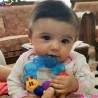 دندانگیر مایع دار کِرم نوزاد و کودک هویلی تویز Huile Toys worm teether